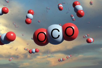 oco