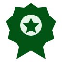 Experienced Instructors
