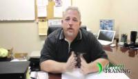 Green Training USA - Testimonial by Mike Hartman